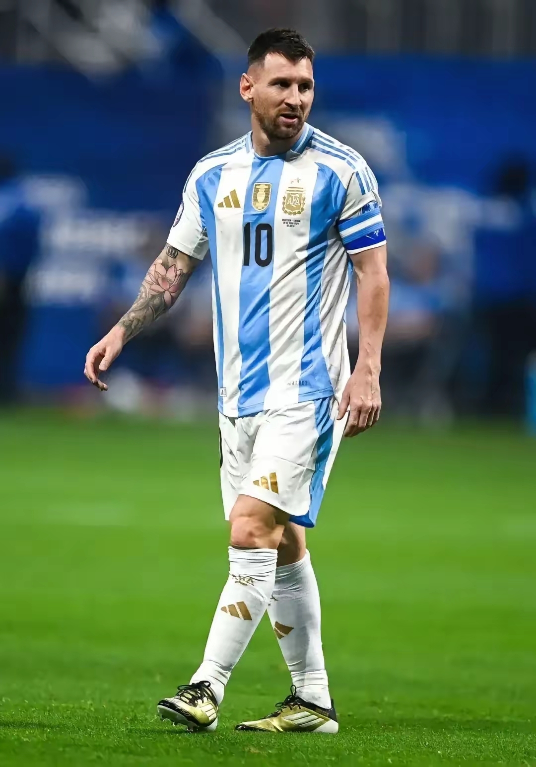 赛前辽宁本钢遗憾出局:法甲节点到来,信心回归,医务组通报恢复(王楚钦爆冷出局国乒反应) 赛前辽宁本钢遗憾出局:法甲节点到来,信心回归,医务组通报恢复(王楚钦爆冷出局国乒反应)